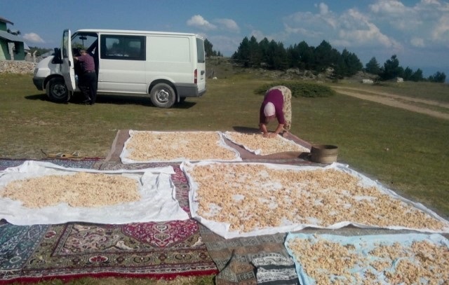NEFİS TARHANA İÇİN HAZIRLIK YAPILIYOR