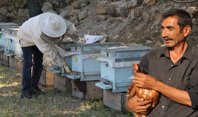 ÇORUM’DAN İŞVİÇRE’YE BAL SATIŞI