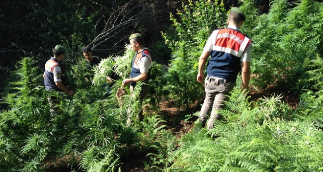 UYUŞTURUCU TACİRLERİNE BASKIN