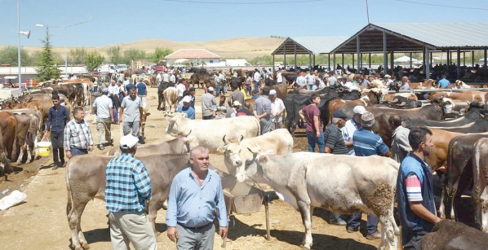 KURBAN KESİM YERLERİ BELİRLENDİ