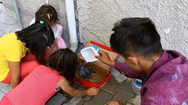 YARALI KUŞ İÇİN SEFERBER OLDULAR