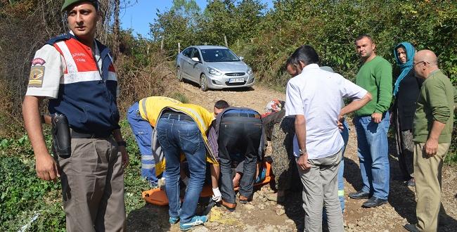 OTLARI YAKAYIM DERKEN KENDİNİ YAKTI