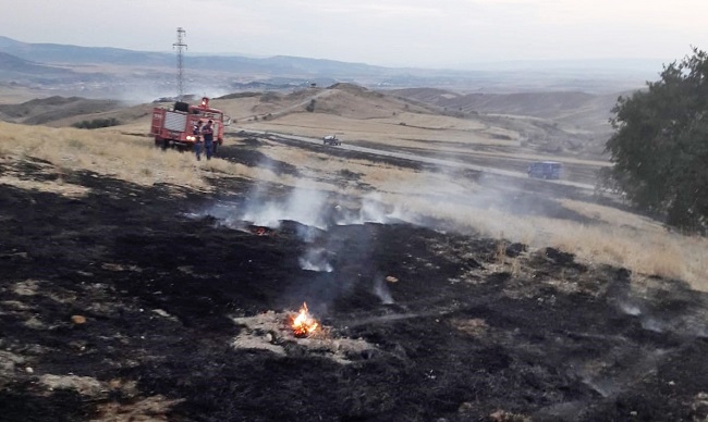 YANGINDA 25 ADET AĞAÇ KÜL OLDU