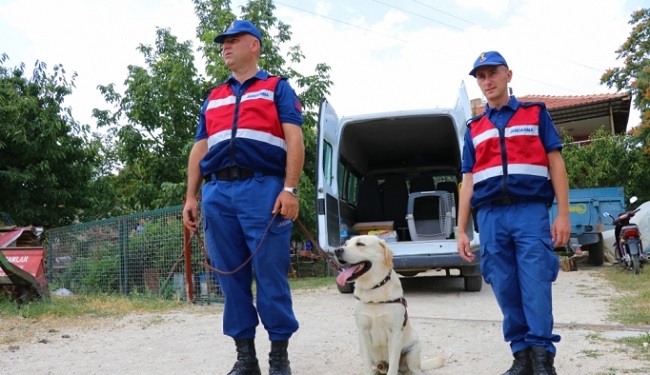 EVDEN AYRILDI KAYIPLARA KARIŞTI
