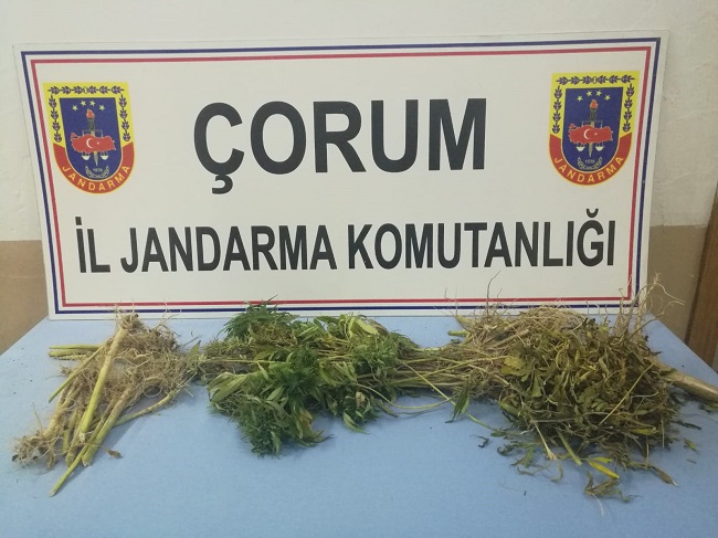 KENEVİRDEN BİR KİŞİ YAKALANDI