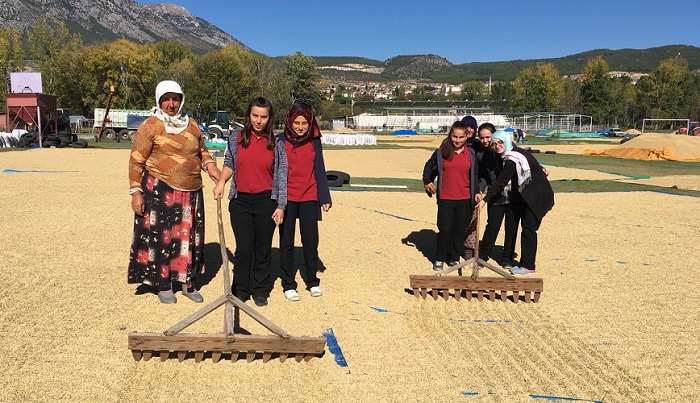 ÖĞRENCİLER ÇELTİK HASADINI FOTOĞRAFLADI