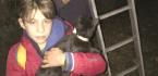 MAHSUR KALAN KEDİYİ İTFAİYE KURTARDI