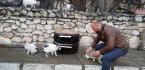 KEDİLER İÇİN LASTİKTEN BARINAK YAPTI
