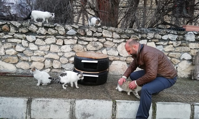KEDİLER İÇİN LASTİKTEN BARINAK YAPTI
