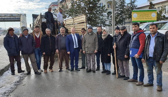 ÇİFTÇİLERE HİBE HAYVAN DAĞITILDI