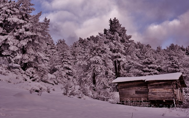 KARGI YAYLALARI MUHTEŞEM OLDU