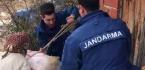 JANDARMA’DAN YÜREKLERİ ISITAN DAVRANIŞ