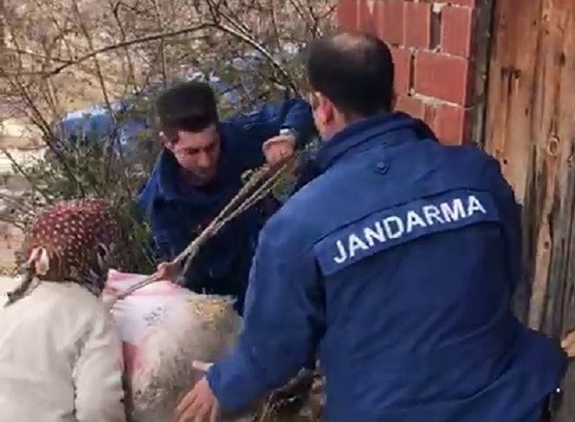 JANDARMA’DAN YÜREKLERİ ISITAN DAVRANIŞ