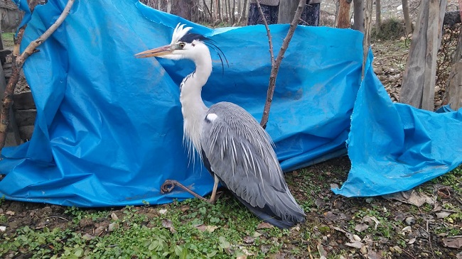 YARALI BALIKÇILA SAHİP ÇIKTILAR