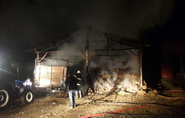 BESİ ÇİFTLİĞİNDEKİ YANGIN KORKUTTU