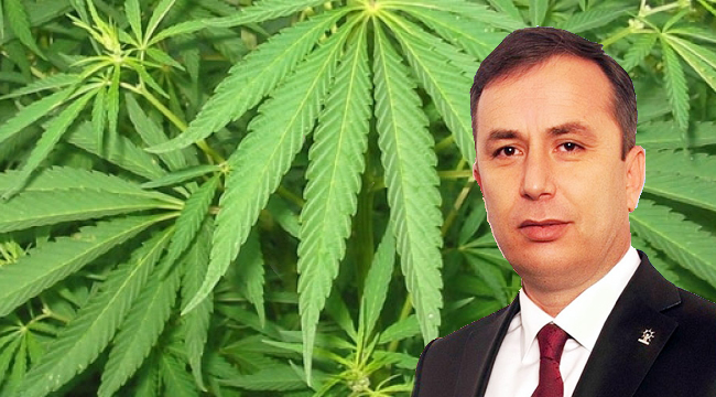 ÇORUM KENEVİRDEN PAY ALACAK!