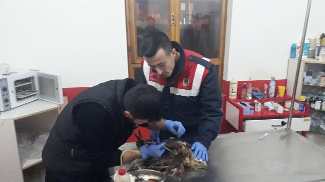 YARALI ŞAHİN’E ONLAR SAHİP ÇIKTI