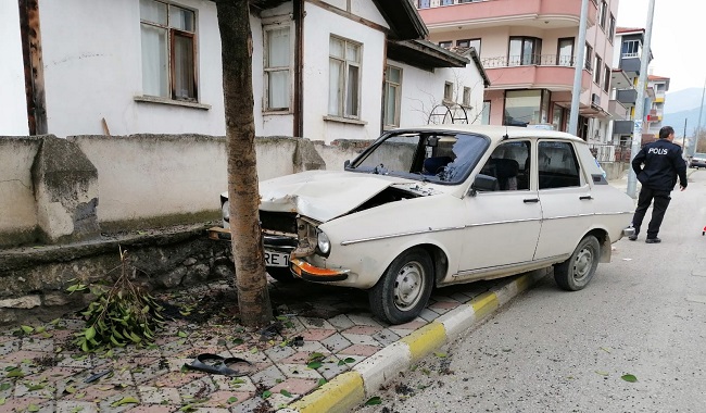 SÜRÜCÜ AĞACA ÇARPARAK DURDU