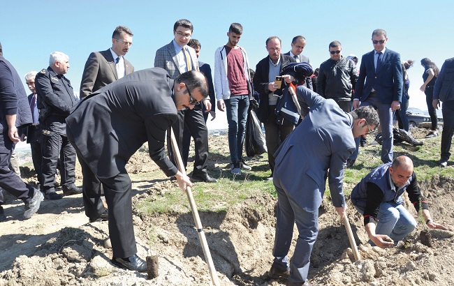 ŞEHİTLER ORMANINA FİDAN DİKTİLER