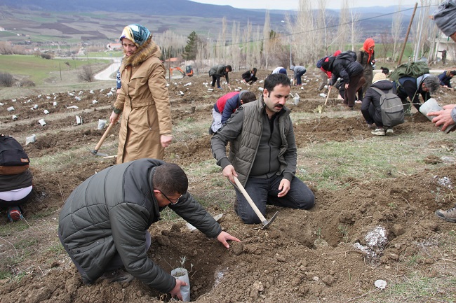 HİTİTLERİN TAPINAĞINA LAVANTA BAHÇESİ