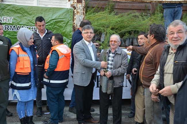KARGI’DA 4 BİN FİDAN DAĞITILDI