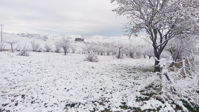 ÇORUM’DA NİSAN KARI ŞAŞIRTTI