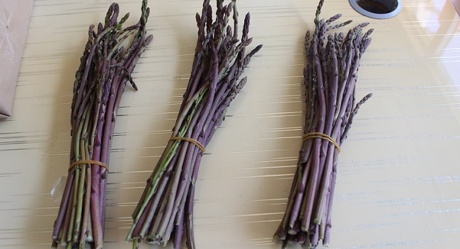 OSMANCIK’TA KUŞKONMAZ MEVSİMİ BAŞLADI