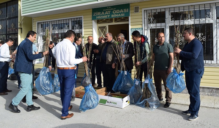 MÜDÜRLERE TOHUM VE FİDAN DAĞITILDI