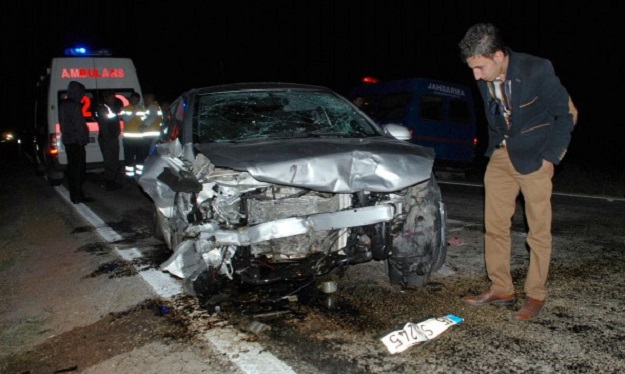 DOMUZ SÜRÜSÜ KAZAYA YOLAÇTI