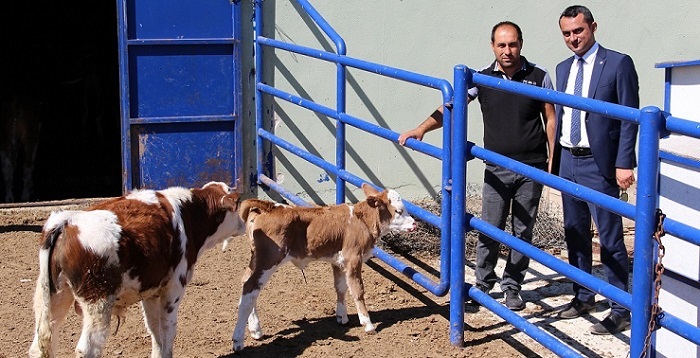 TEŞVİK ALIP KÖYÜNE TESİS KURDU