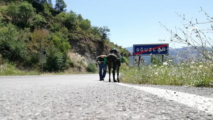 FOTOĞRAFLAR AÇIK ARTIRMA İLE SATILACAK