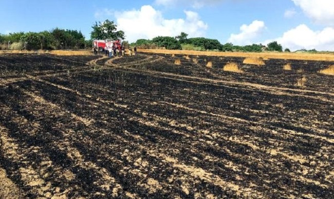 89 DÖNÜM BUĞDAY TARLASI KÜL OLDU