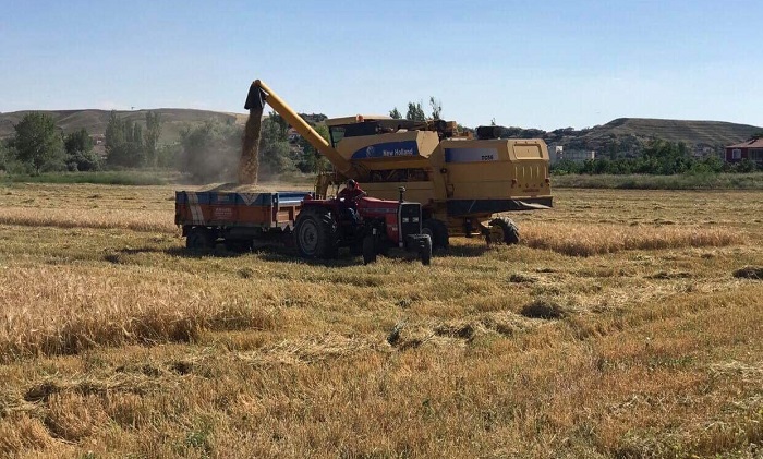HASAT DÖNEMİNDE İKİ ÜRÜN EKİLEBİLECEK