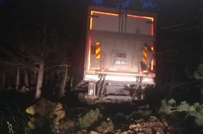 KAMYON ŞARAMPOLE YUVARLANDI:1 YARALI