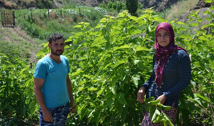 ÇORUMLU EV HANIMI BUNU DA BAŞARDI