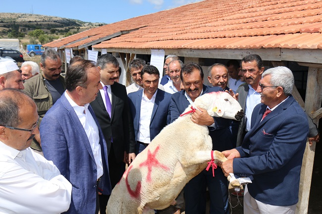 DAMIZLIK KOÇ TEKE ÜRETİM İSTASYONU AÇILDI
