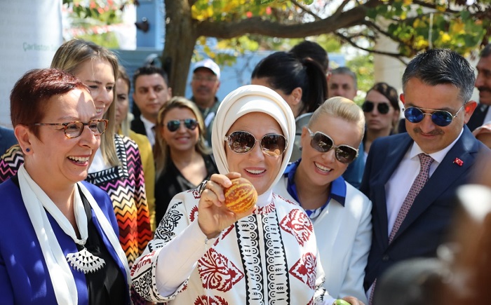 10 DİLİM KAVUN ATA TOHUMU PROJESİNDE
