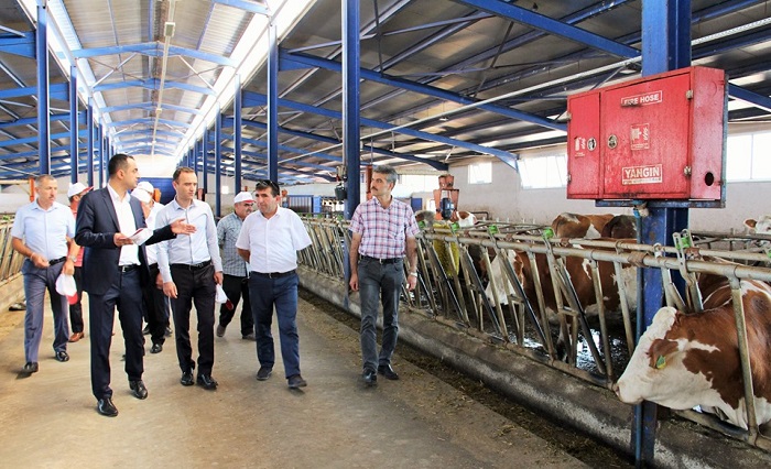 PEYNİR FABRİKASI KURULMASI PLANLANIYOR