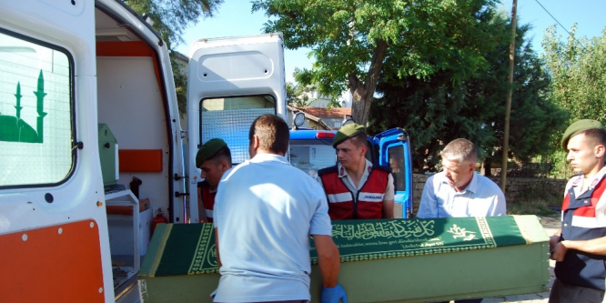 AĞAÇTAN DÜŞEREK HAYATINI KAYBETTİ