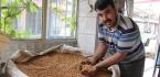 ÇORUM HAM LEBLEBİYİ KULA’DAN ALIYOR