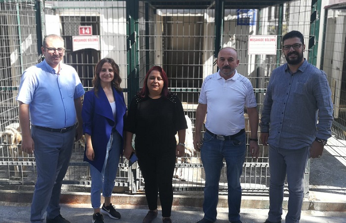 CHP’DEN SOKAK HAYVANLARINA DUYARLILIK