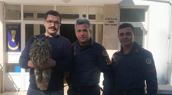 YARALI BAYKUŞ’A JANDARMA SAHİP ÇIKTI