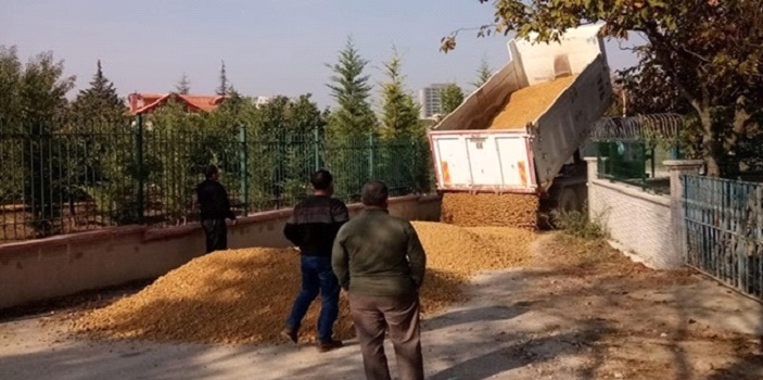 BAĞ YOLLARINDA ÇALIŞMALAR BAŞLADI