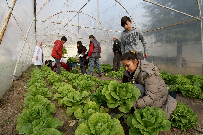OKUL BAHÇESİNE SERA YAPILDI