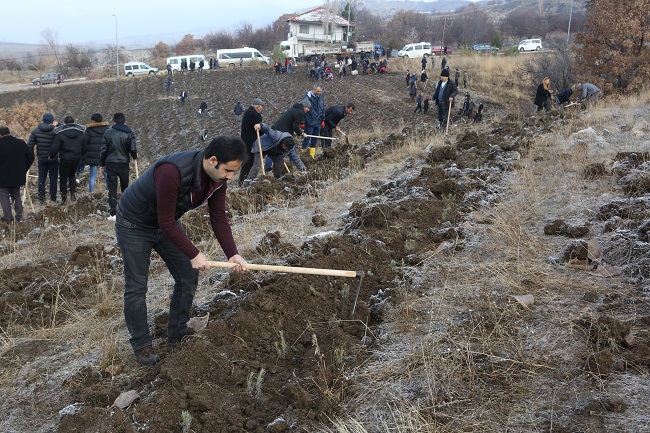 HATTUŞA ARTIK LAVANTA KOKACAK