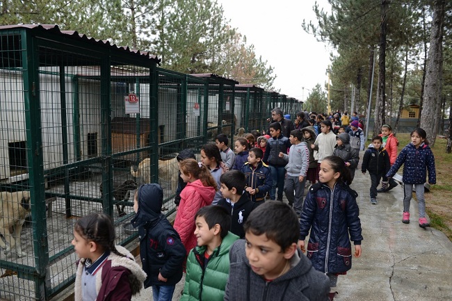 BARINAKTAKİ HAYVANLARI SEVDİLER