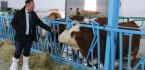 HAYVANLARIN TIRNAĞI YILDA 2 KEZ KESİLMELİ