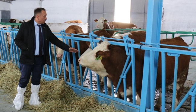 HAYVANLARIN TIRNAĞI YILDA 2 KEZ KESİLMELİ