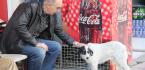 VEFAKAR KÖPEK HALEN SAHİBİNİ BEKLİYOR