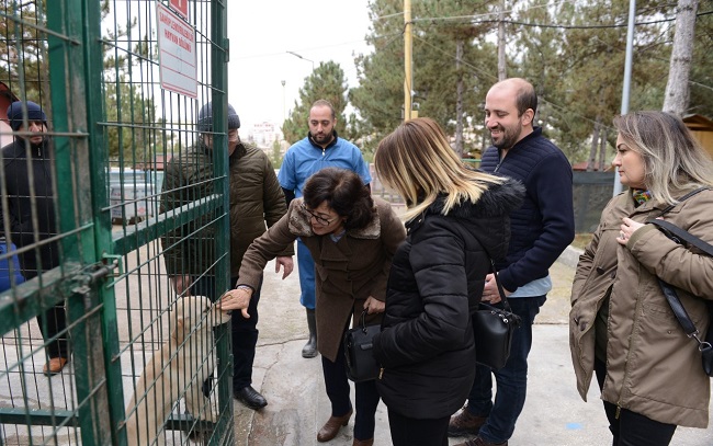 HAYVAN BARINAĞI ÖRNEK OLDU